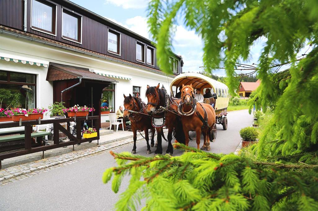 Gaststaette & Pension Waldquell Antonshohe Esterno foto